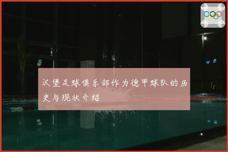 汉堡足球俱乐部作为德甲球队的历史与现状介绍