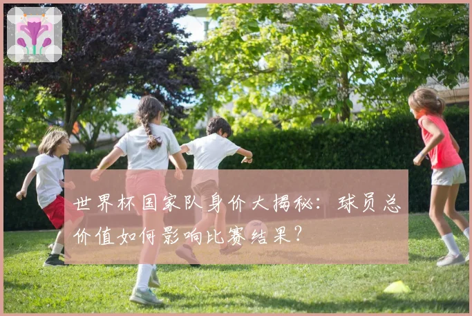 世界杯国家队身价大揭秘：球员总价值如何影响比赛结果？