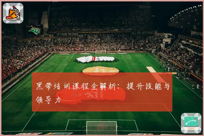黑带培训课程全解析：提升技能与领导力