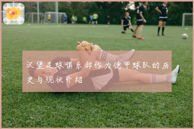 汉堡足球俱乐部作为德甲球队的历史与现状介绍